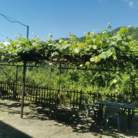 Appartamento Nel Verde Сан-Марчелло-Пістоєзе Екстер'єр фото